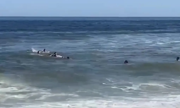 Ish ylli i Premierligës dhe fëmijët e tij shpëtohen mrekullisht nga valët e rrezikshme në det